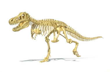 Similar image 13212161