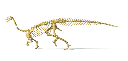 Similar image 13212162