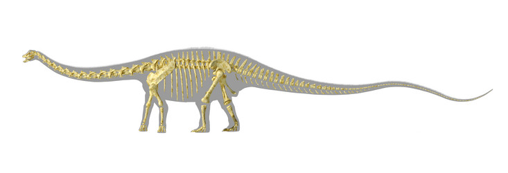 Similar image 13205911