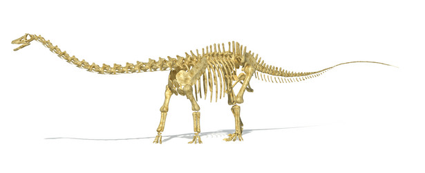 Similar image 13205912