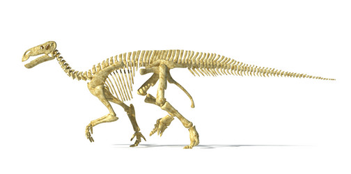 Similar image 13205958