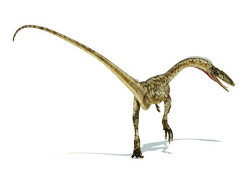 Similar image 13211449