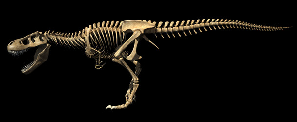 Similar image 13211946