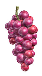 Similar image 13212167