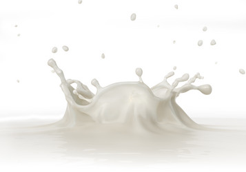 Similar image 13206142