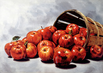 Similar image 13211435