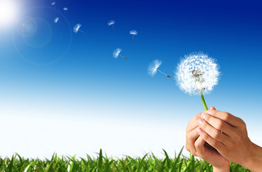 Similar image 13211593