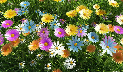 Similar image 13211595