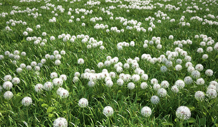 Similar image 13212029