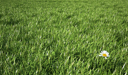 Similar image 13211928