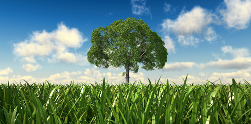 Similar image 13211929