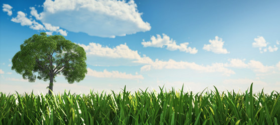 Similar image 13211930