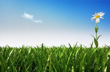 Similar image 13211933