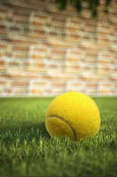 Similar image 13206060