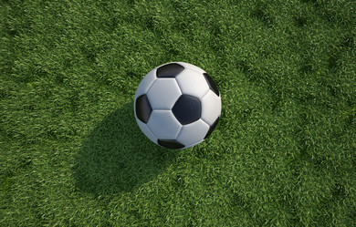 Similar image 13206061