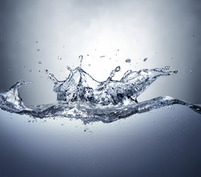 Similar image 13206181