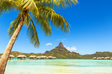 Similar image 13192998