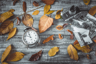 Similar image 13209022