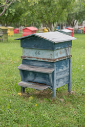 Similar image 13209034