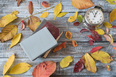 Similar image 13209035