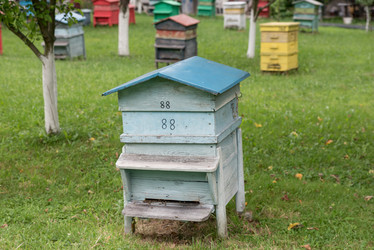 Similar image 13209036