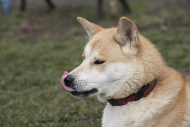 Similar image 13209060