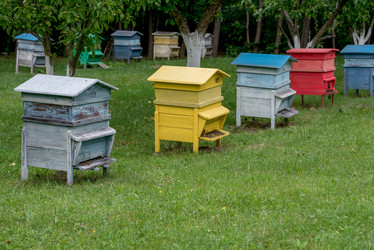 Similar image 13209061