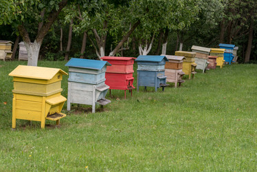 Similar image 13209065