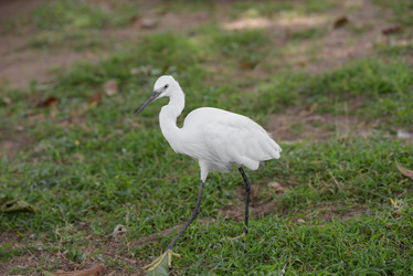 Similar image 13208919