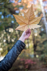 Similar image 13208965