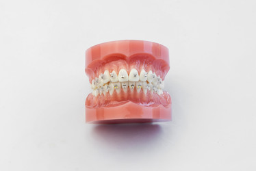 Similar image 13208977