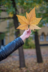 Similar image 13208982