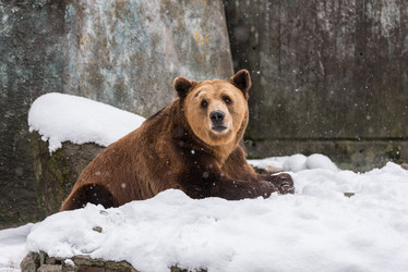 Similar image 13208985