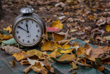 Similar image 13209027