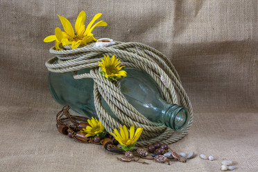 Similar image 13209046