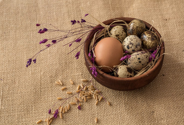 Similar image 13209049