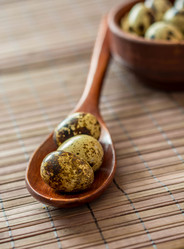 Similar image 13209050