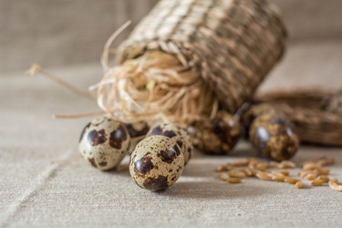 Similar image 13209054