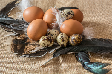 Similar image 13209068