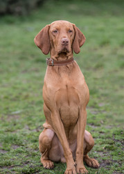 Similar image 13208780