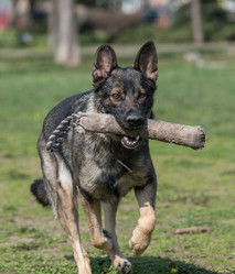 Similar image 13208820