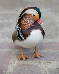 Similar image 13208822