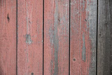 Similar image 13208834