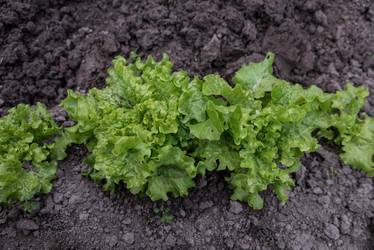 Similar image 13208850