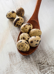 Similar image 13208853