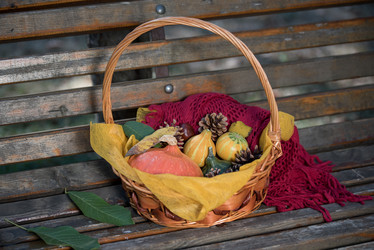 Similar image 13208875