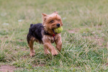 Similar image 13208994