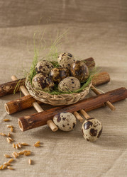 Similar image 13209071