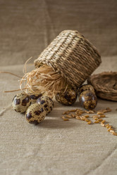 Similar image 13209073