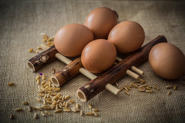 Similar image 13209074